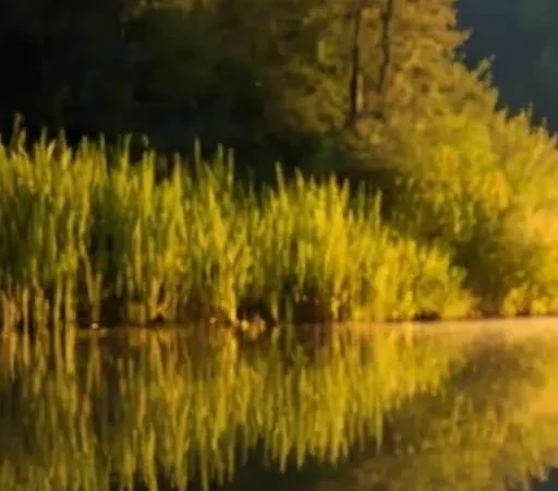 Эволюция бойлов: От классики к инновациям