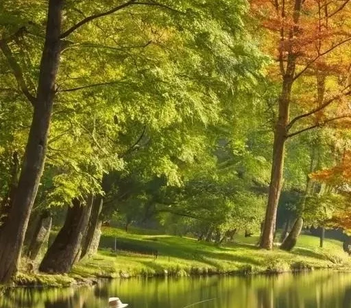 Общий обзор: Рыболовная Экипировка для Сезона