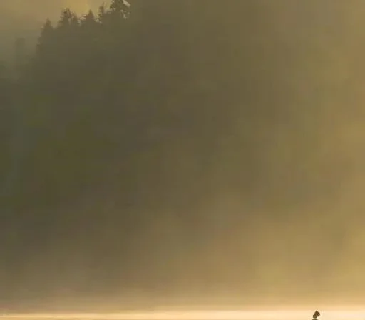 Тенденции рыболовных блогов в 2025 году: Эволюция контента и перспективные темы