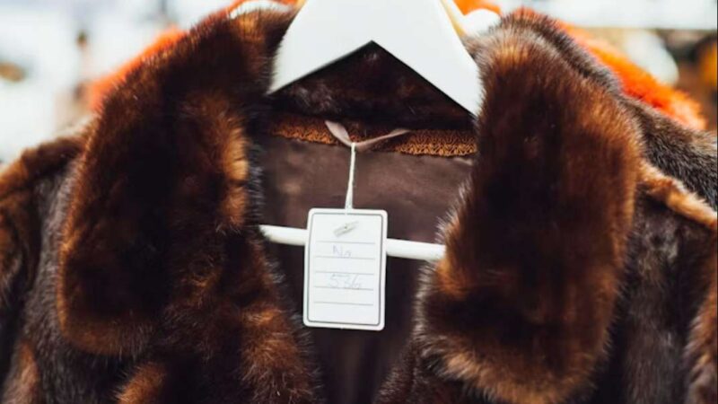 Шуба-дуба-ду: как подготовить натуральный мех к сезону, правила ухода и эксплуатации