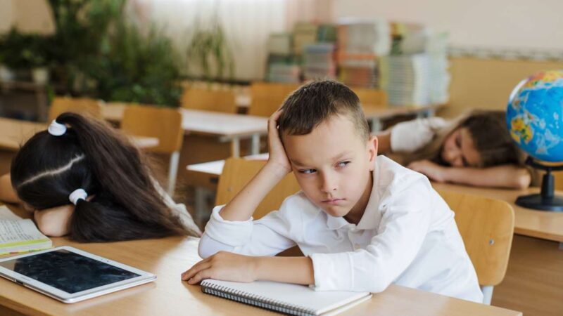 Из троечника в отличника: топ−5 полезных продуктов для мозга вашего школьника