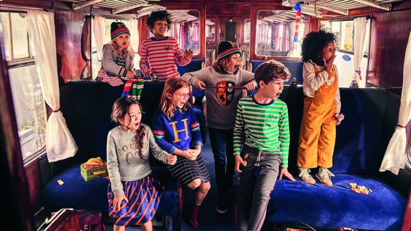 Поттериана в моде