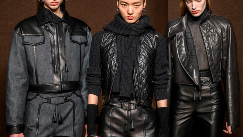 Кожаные платья, юбки, шорты и верхняя одежда 2025-2026