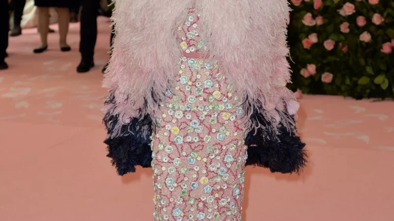 Раскрыта тема Met Gala 2026