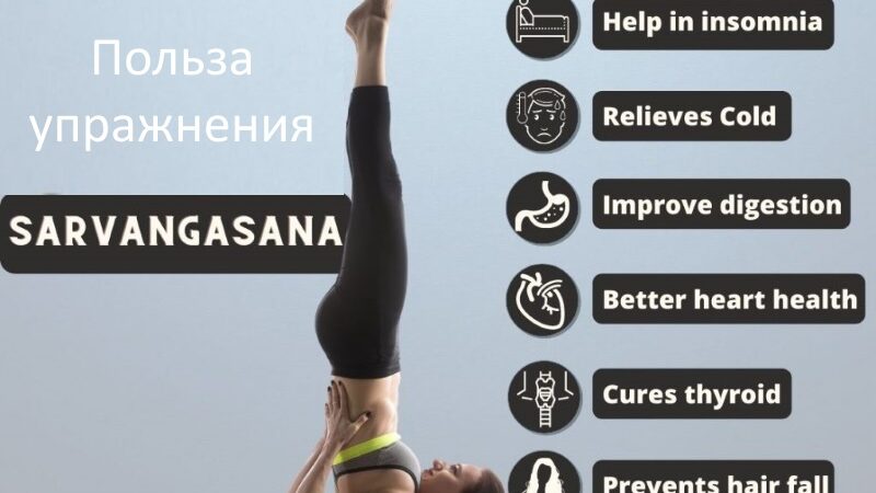 Поза Берёзка в йоге Сарвангасана (Sarvangasana)