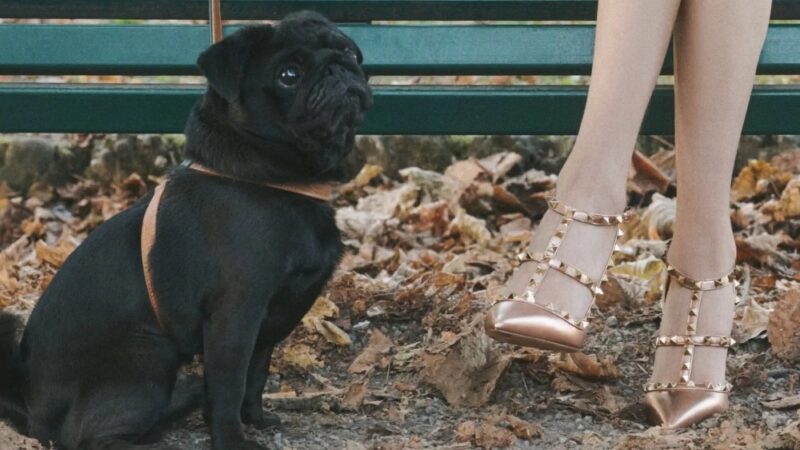 Valentino выпустил туфли по мотивам «Дьявол носит Prada 2»