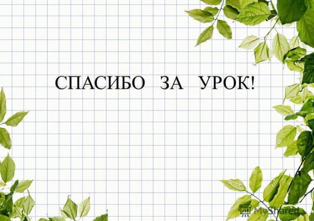 Картинки спасибо за урок: бесплатные фото