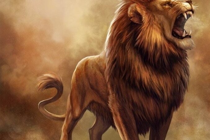 Картинки для ВК на аву: бесплатные фото