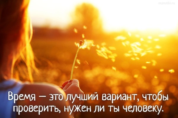 Картинки если ты нужен человеку: бесплатные фото