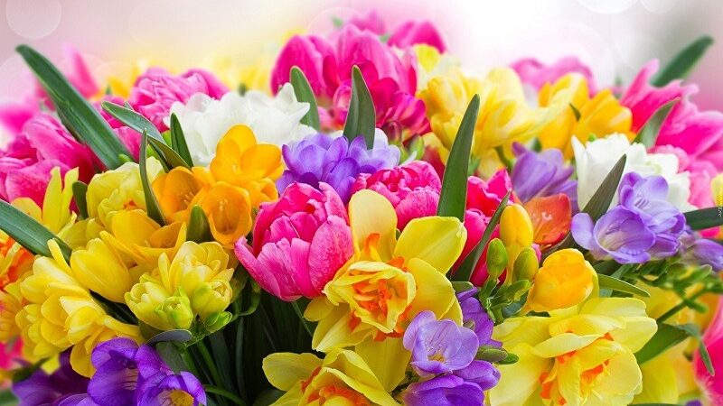 Красивые картинки 2025: бесплатные фото