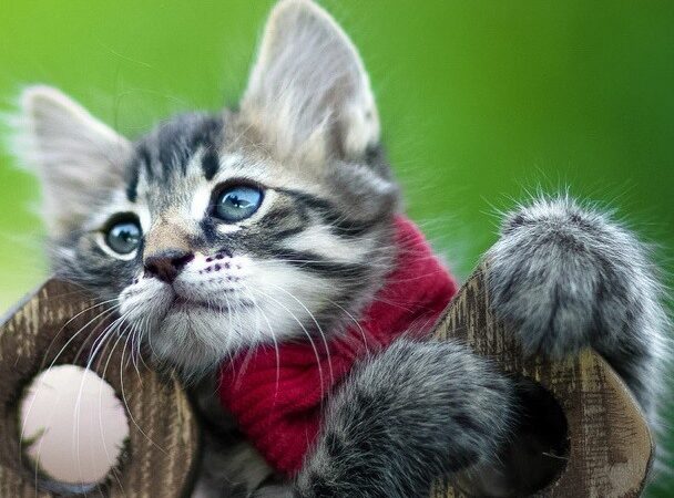 Желаю вдохновения — картинки: бесплатные