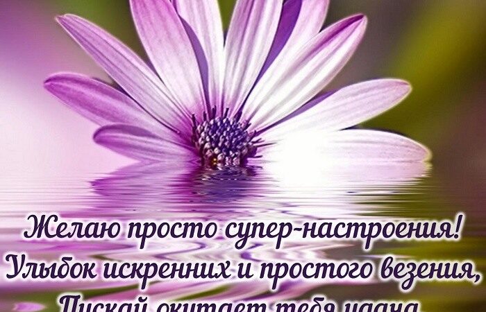 Желаю улыбок — картинки (35+)