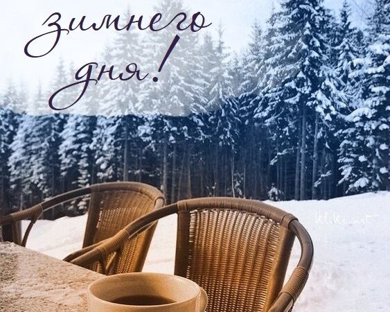Картинки Хорошего зимнего дня: Необычные открытки