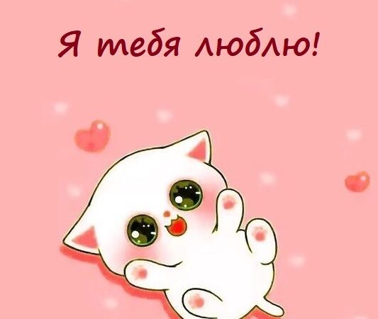 Открытки я тебя люблю: бесплатные картинки