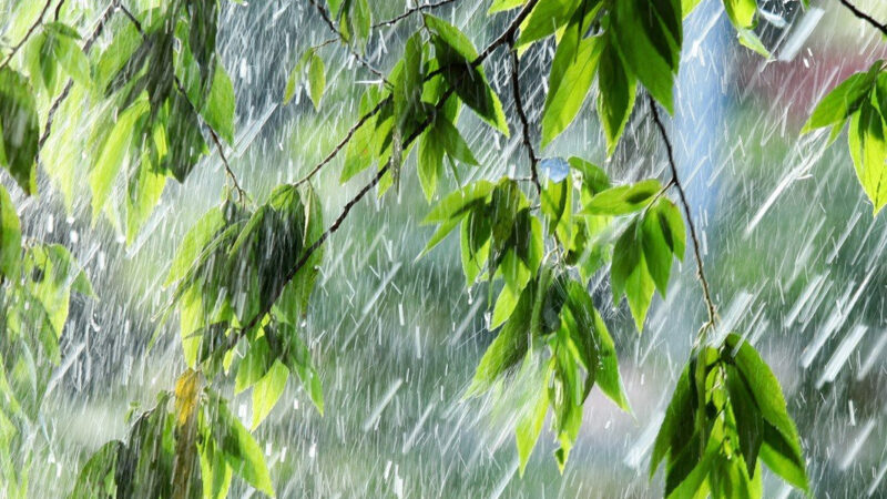 Картинки дождь: бесплатные фото