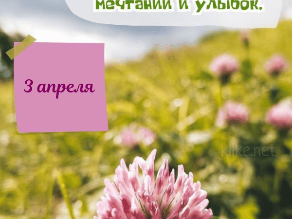 Картинки Доброе утро 3 апреля: Креативные открытки