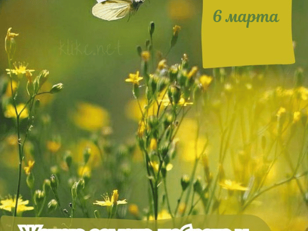 Открытки доброе утро 6 марта: бесплатные картинки