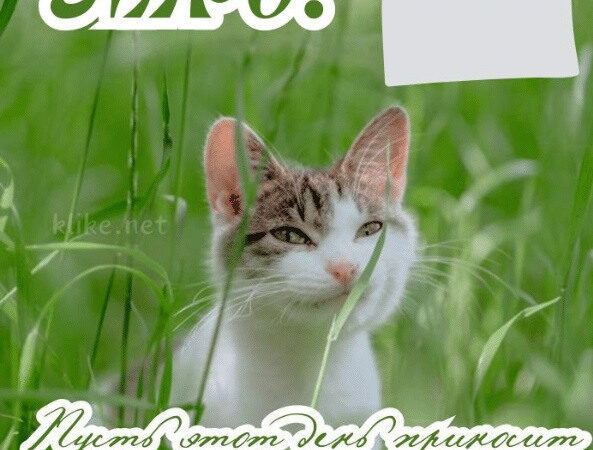 Открытки доброе утро 3 июня: бесплатные картинки