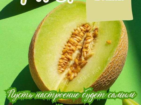 Открытки доброе утро 24 июля: бесплатные картинки