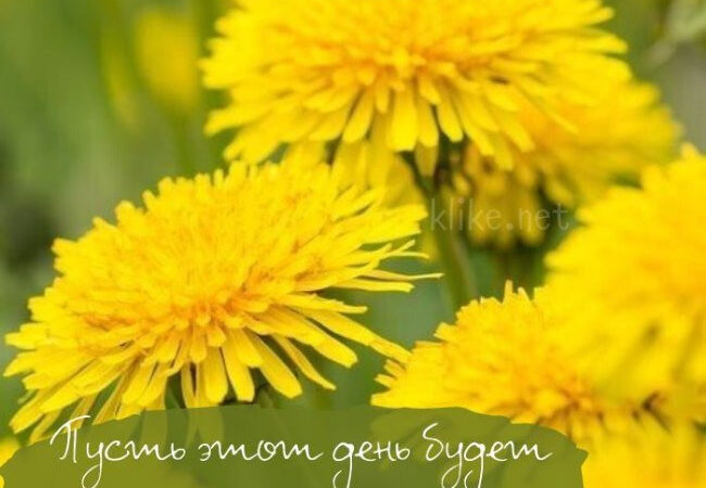 Картинки с пожеланиями на 31 июля: Неповторимые открытки