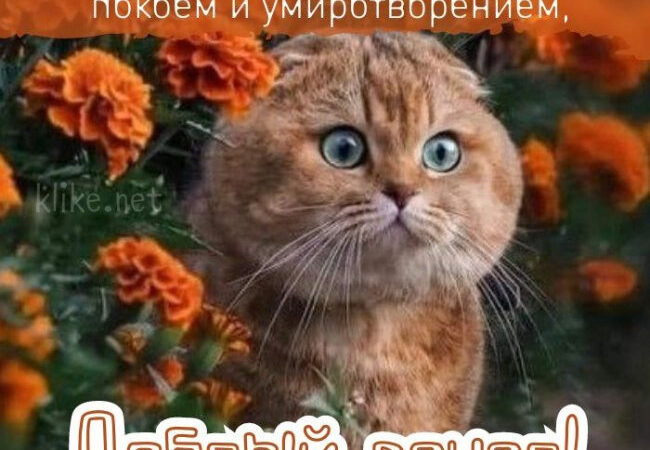 Картинки с пожеланиями на 11 августа