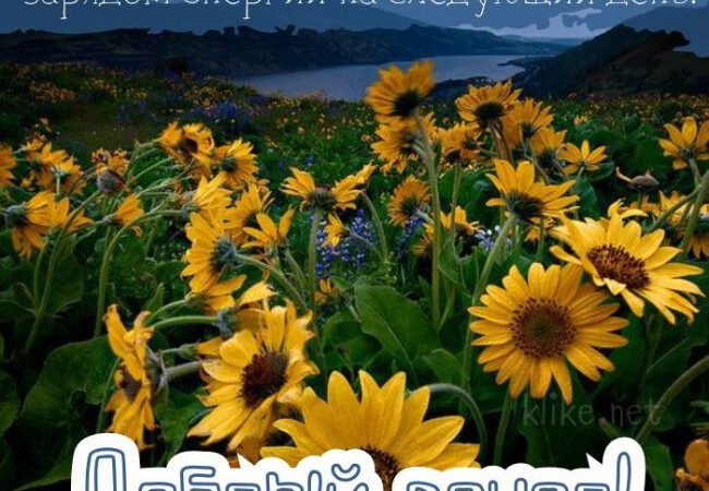 Картинки с пожеланиями на 27 августа