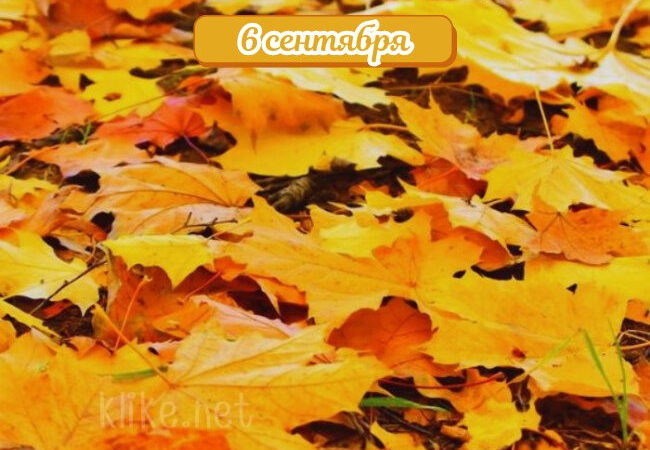 Открытки доброе утро 6 сентября: бесплатные картинки