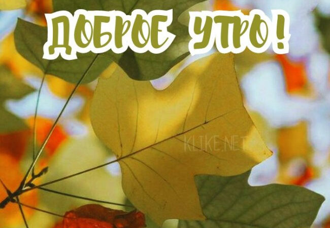 Картинки Доброе утро 1 октября