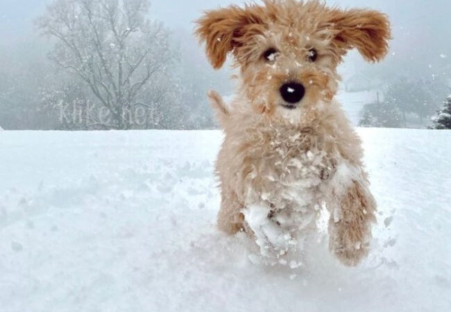 Открытки с пожеланиями на 2 декабря: бесплатные картинки