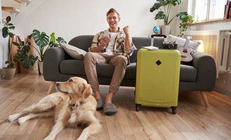 Отпуск с чистой совестью: куда пристроить домашнее животное, если собираетесь в путешествие